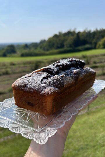 Plumcake allo yogurt variegato al cioccolato verticale